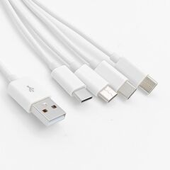 4768 4 in 1 USB Tip-C Şarj Kablosu Çoklayıcı 1 Metre